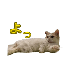 inari_20251225123337