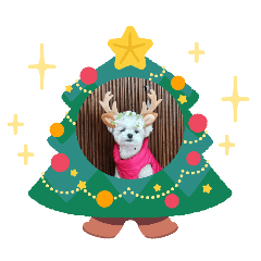 rinrin_20251225122424