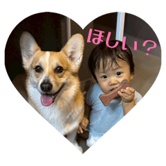 cocoro_20251225123546