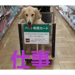 magumaguo_20251225124054