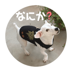 kaori sakata_20251225124907