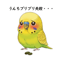 mattake156_20251223211247