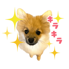 tomooon0328_20251225094358