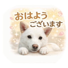 KAORI_20251225141642