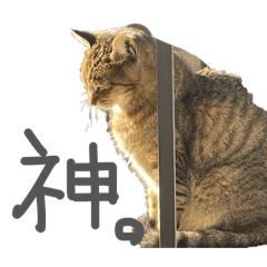 nanami_20251225155750