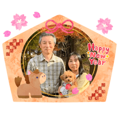 panda_20251225160223