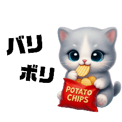 グレーキャットの日常