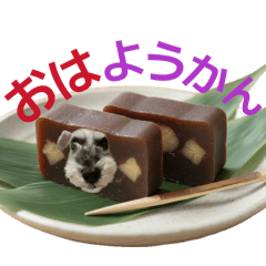 Kaki pi_20251224105035