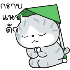Munkaew little cat V.77