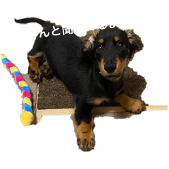 ma-chan_20251225161450