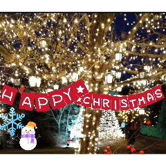 funny friends with Rabbit & Monkey