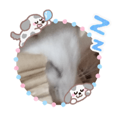 yu-ki_20251225151153