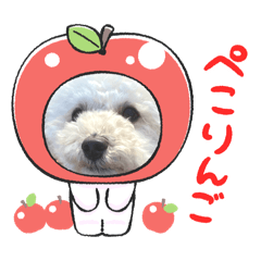 Lattekko_20251225151952