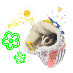 yano_202512251535130