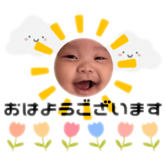 hachi_20251225151234