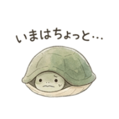 Tiny Turtle's Peaceful Retreat