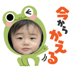 sakura_20251225163307