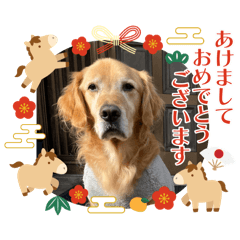 mowanomu_20251225163252