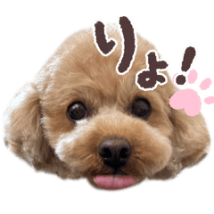 natsumi_20251225165704