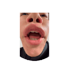 handballclub(?)stump4