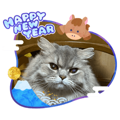 maaay_20251225165756