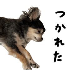 adayo_20251225172033