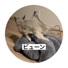 Big.J_20251225161426