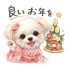 kaori_20251225181217