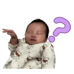 toranosuke_20251225172151