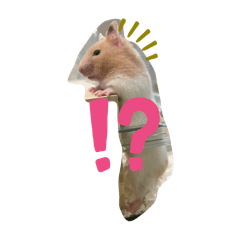 sorami_20251225173604