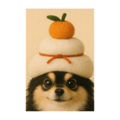 koagu_20251225190642