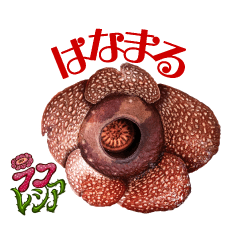 イッテQ!珍獣スタンプ ~フィリピン編~