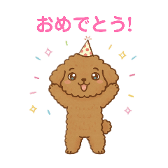 Kakipii_20251225180259