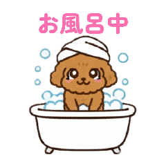 Kakipii_20251225175807