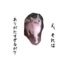 Kisaragi_Nono_20251225195410