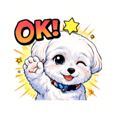 sayaka aoki_20251225194701