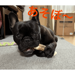 Koume_20251225195245