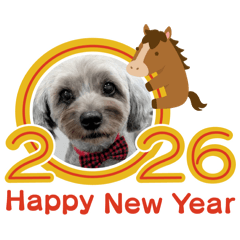 mini tomato_20251225195502