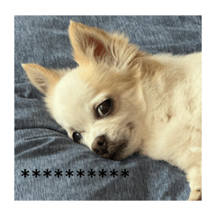 fk_tyamada_20251225195835