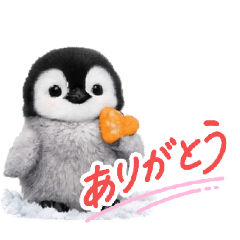 n8k5syuto_20251225195419