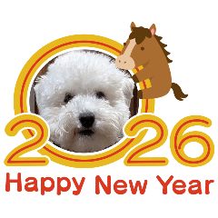 12345_20251225195733