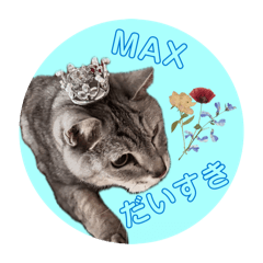 Nekoneko_20251225195353