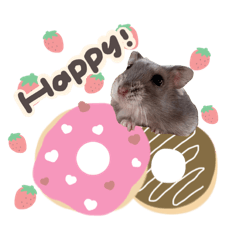 yui_m0330_20251225183057