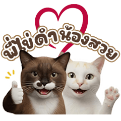 Sir Black Egg & Beauty Cat