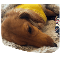 takashi_20251225225444