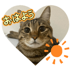 cocomaro_20251225230314