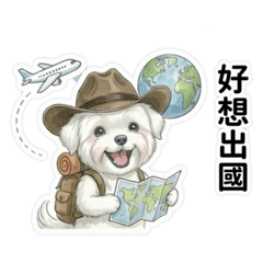 馬爾濟斯狗狗-丁丁可愛貼圖08（可愛訊息