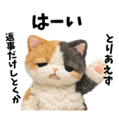 maana221_20251224121424