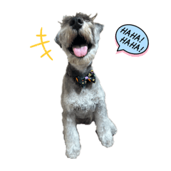 minniko_20251225212847