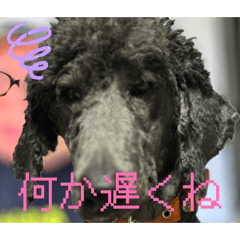 emizabeth_20251225213019